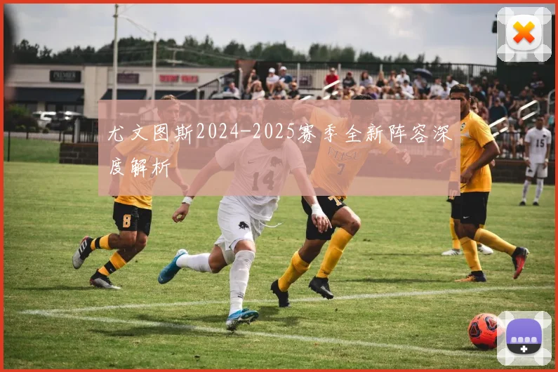 尤文图斯2024-2025赛季全新阵容深度解析