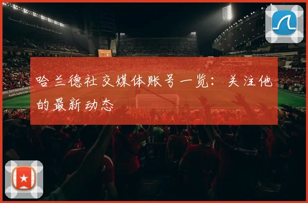 哈兰德社交媒体账号一览：关注他的最新动态